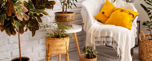 design-de-sala-relaxante-com-plantas-verdes(1)(1)